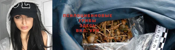 каннабис Белокуриха