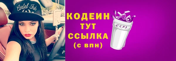 шишки Богородск