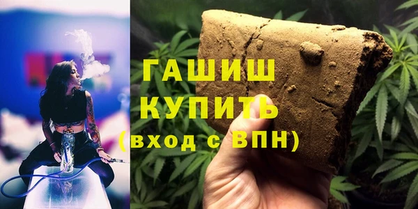 крисы Богородицк