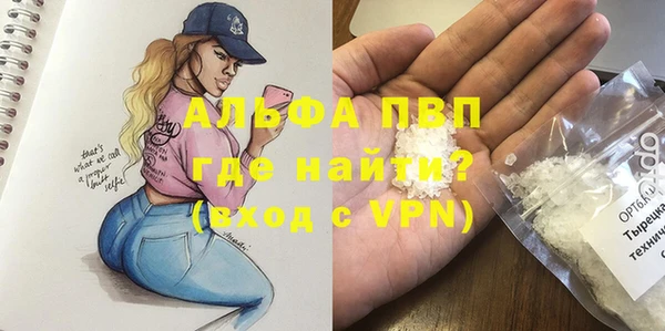 крисы Богородицк