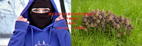 spice Беломорск