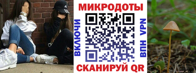 Галлюциногенные грибы Cubensis  магазин продажи   Гусев 