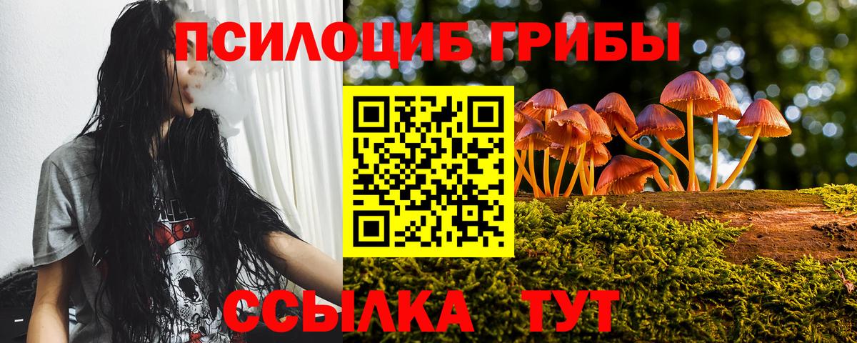 Галлюциногенные грибы Psilocybine cubensis  Псилоцибиновые грибы Psilocybe  Вход с VPN  Гусев 