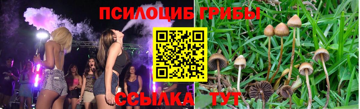 Галлюциногенные грибы MAGIC MUSHROOMS Гусев